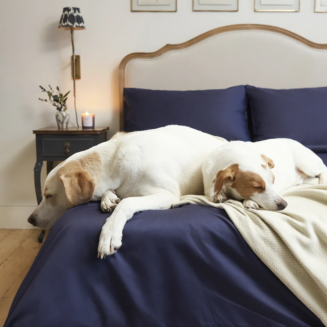 Luxury Duvet Cover Set