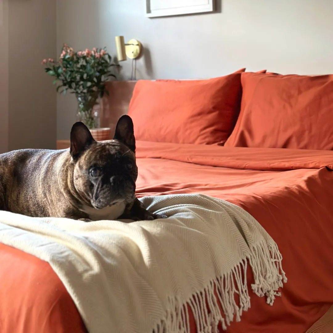 Luxury Duvet Cover Set