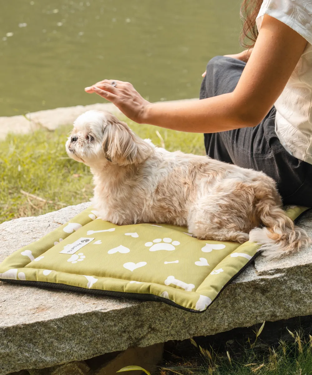 Paws & Bones Heaven Pet Mat