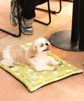 Paws & Bones Heaven Pet Mat