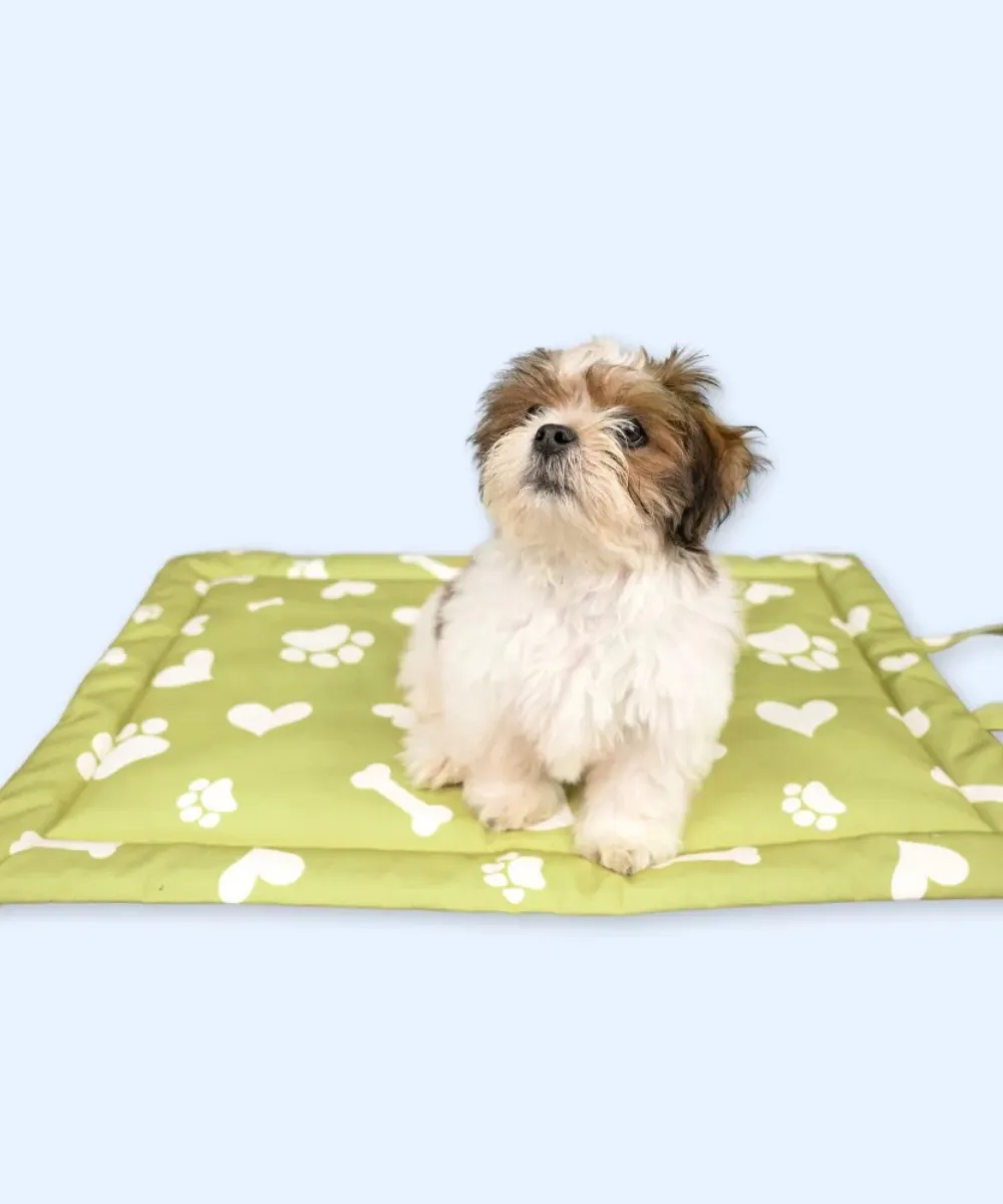 Paws & Bones Heaven Pet Mat