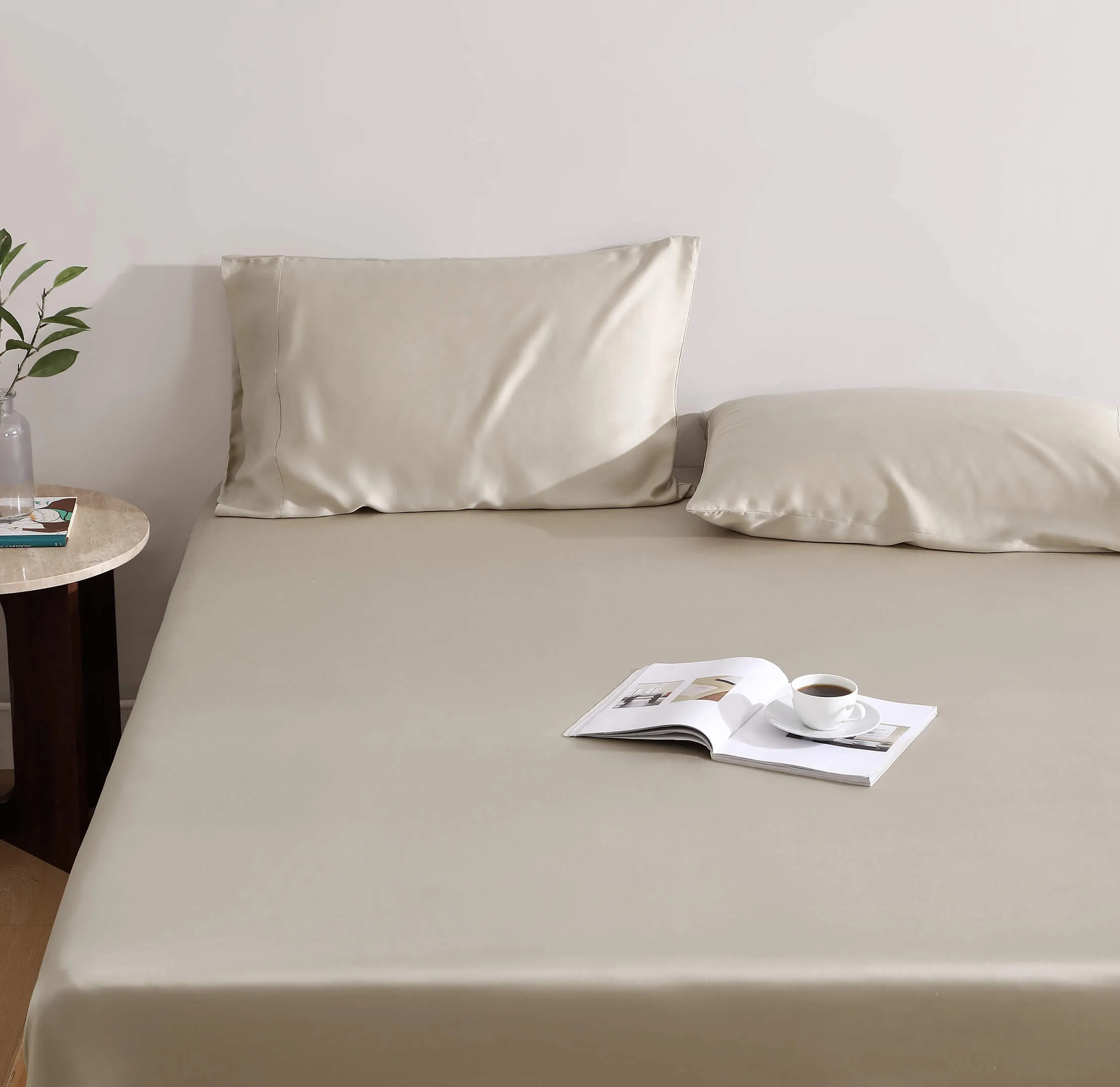 Silky Lyocell Pillowcase Set